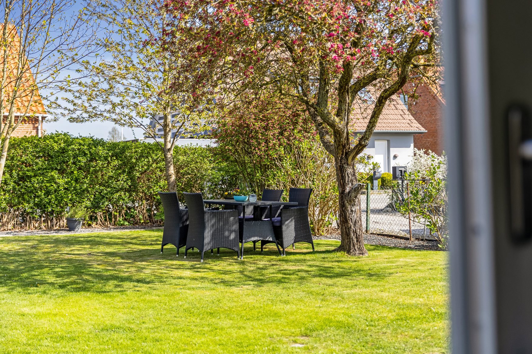 Have