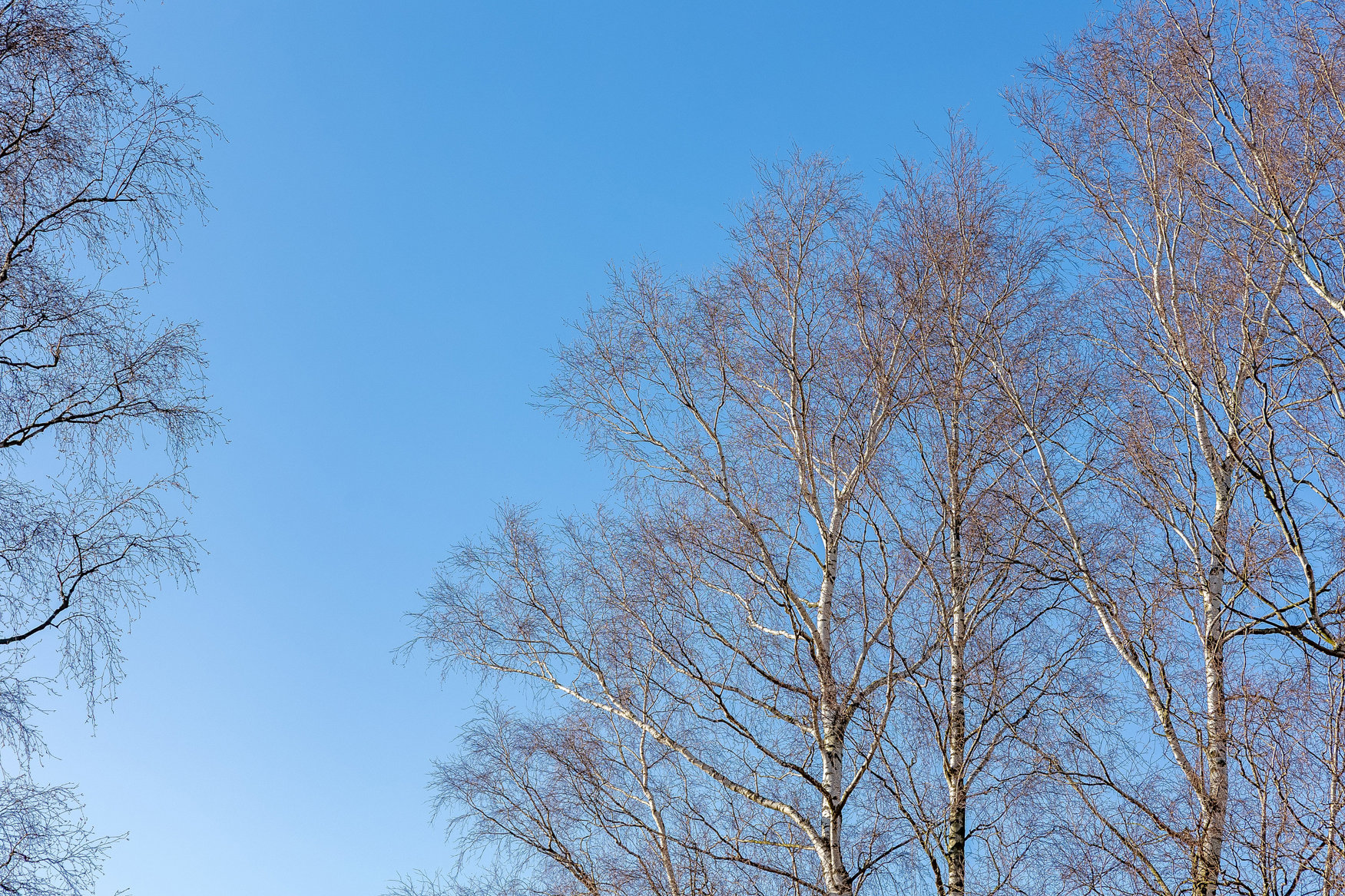 Blåtopvej 9, 4873 Væggerløse - Billed