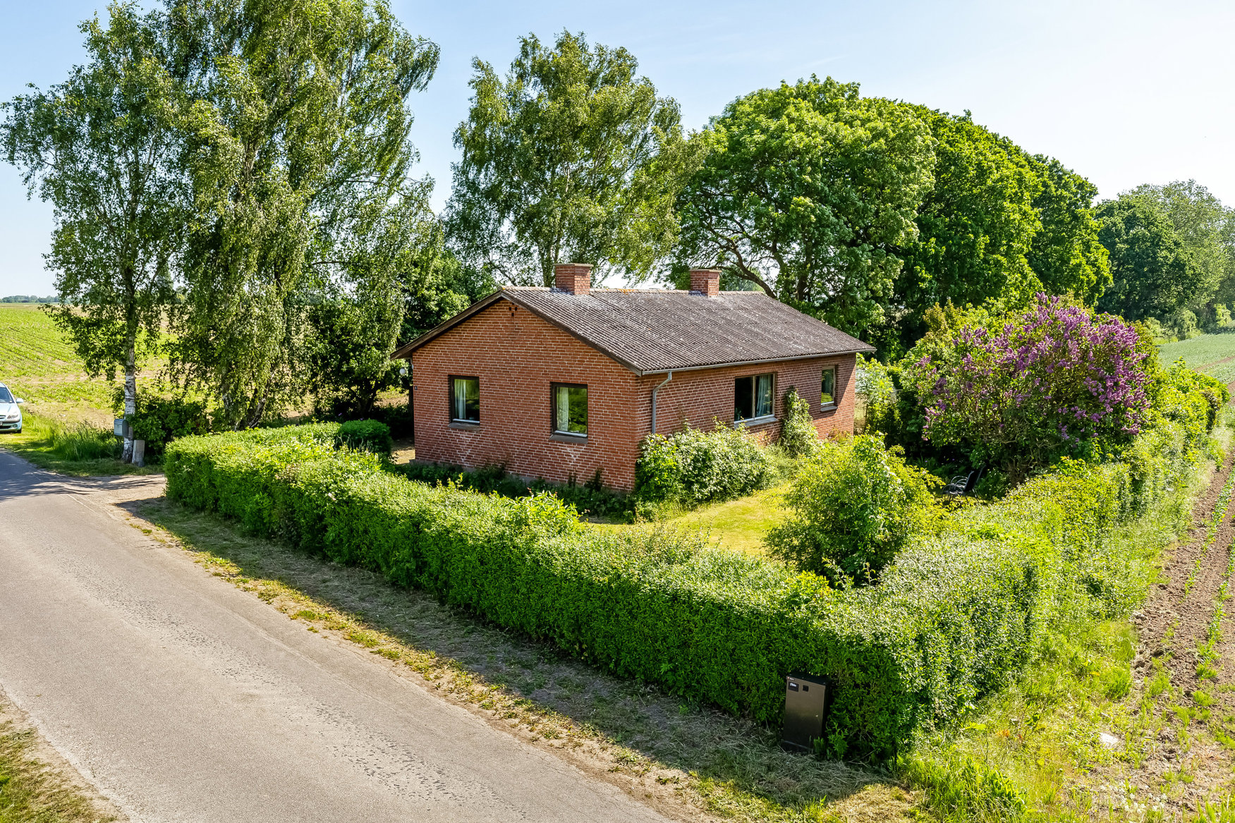 Mastefoto