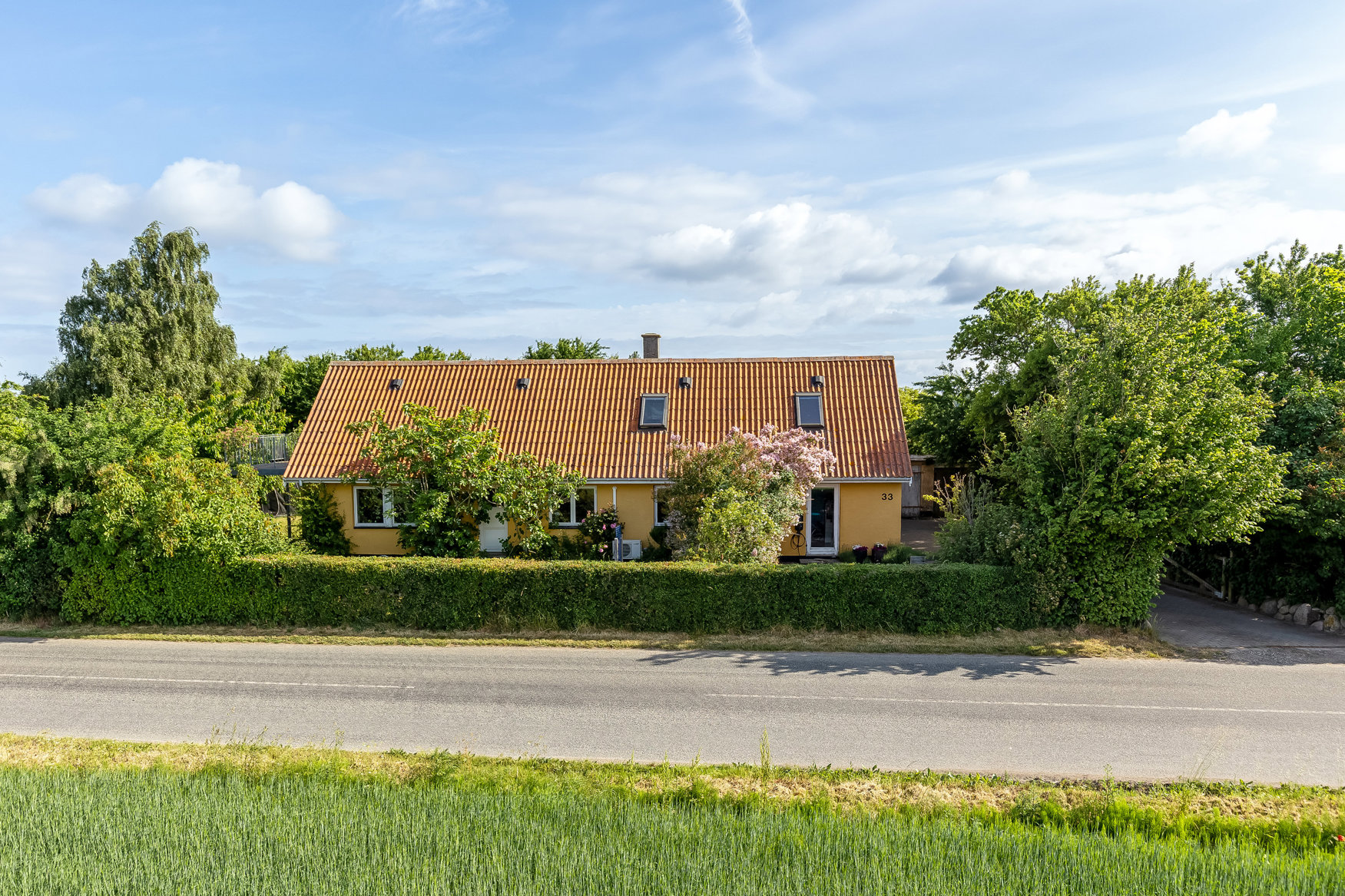 Mastefoto